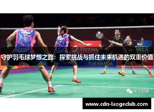 守护羽毛球梦想之路：探索挑战与抓住未来机遇的双重价值