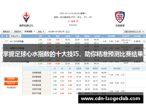 掌握足球心水指数的十大技巧，助你精准预测比赛结果