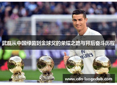 武磊从中国绿茵到金球奖的荣耀之路与背后奋斗历程