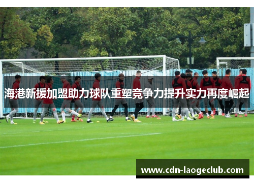 海港新援加盟助力球队重塑竞争力提升实力再度崛起 海港新援加盟助力球队重塑竞争力提升实力再度崛起