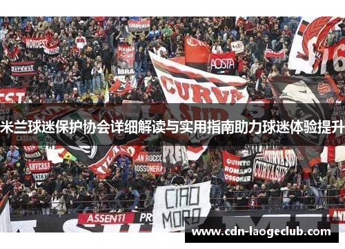 米兰球迷保护协会详细解读与实用指南助力球迷体验提升