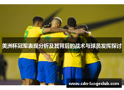 美洲杯冠军表现分析及其背后的战术与球员发挥探讨