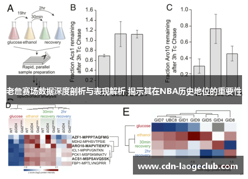 老詹赛场数据深度剖析与表现解析 揭示其在NBA历史地位的重要性 老詹赛场数据深度剖析与表现解析 揭示其在NBA历史地位的重要性