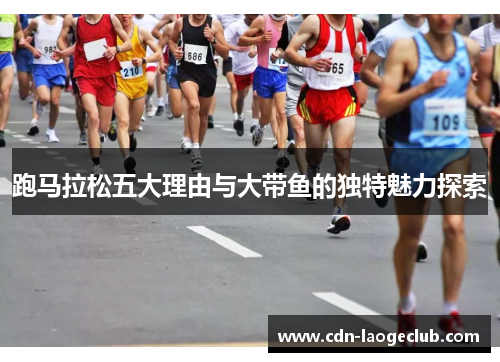 跑马拉松五大理由与大带鱼的独特魅力探索 跑马拉松五大理由与大带鱼的独特魅力探索